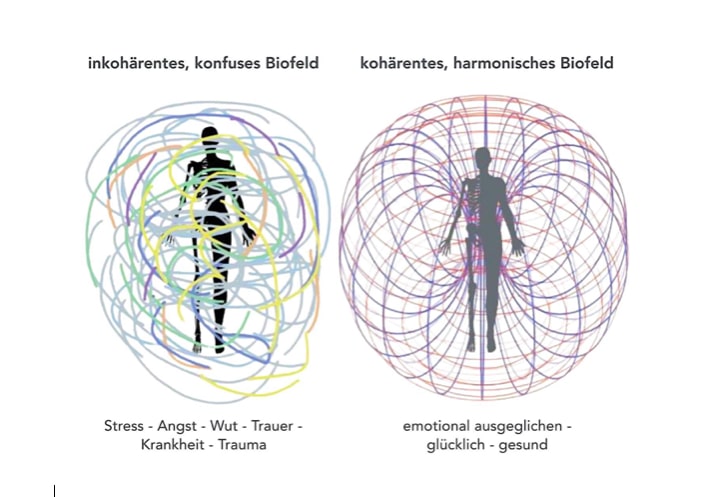 Biofield Tuning-coherent vs incoherent energy Torus Field Biofield Tuning